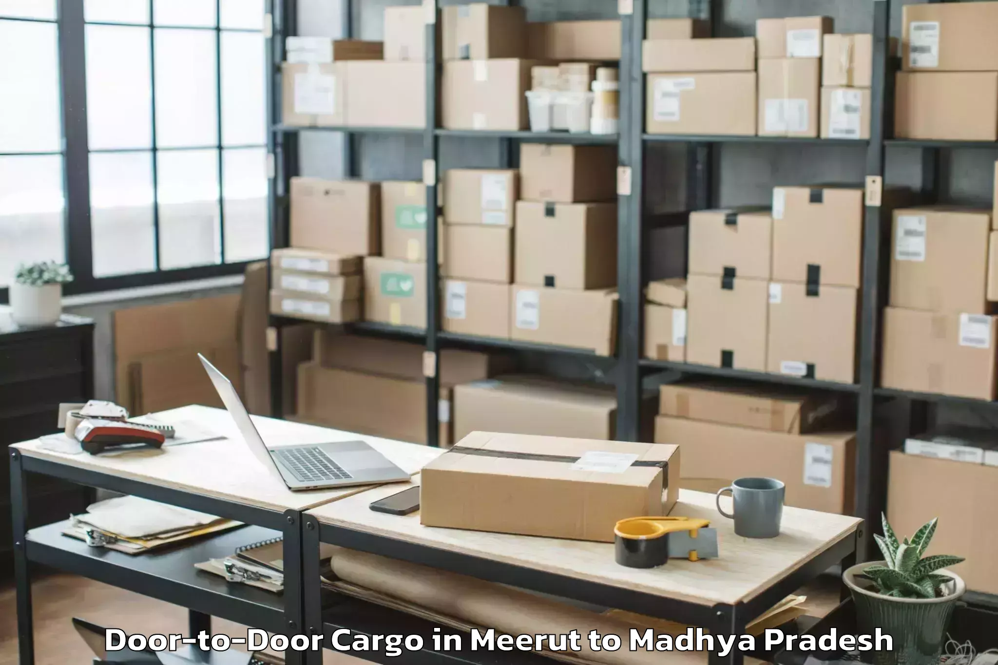 Easy Meerut to Sarni Door To Door Cargo Booking